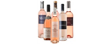 Vinatis: Pack sélection des 6 meilleures bouteilles de vins rosés à 49,90€ au lieu de 62,54€