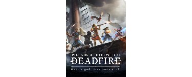 Instant Gaming: [Précommande] Jeu Pillars of Eternity II: Deadfire à 33,49€ au lieu de 46€