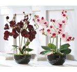 Becquet: Orchidée grande en tissu dans son pot d'une valeur de 37,42€ au lieu de 49,90€