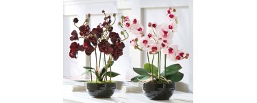 Becquet: Orchidée grande en tissu dans son pot d'une valeur de 37,42€ au lieu de 49,90€
