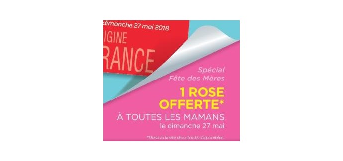Carrefour: 1 rose offerte à toutes les mamans le dimanche 27 mai