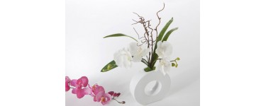 Becquet: Orchidée en tissu et vase rond en faïence émaillé au prix de 17,94€ au lieu de 29,90€ 