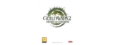 CDKeys: Jeux PC Guild Wars 2 Heart of Thorns à 11,39€ au lieu de 34,19€
