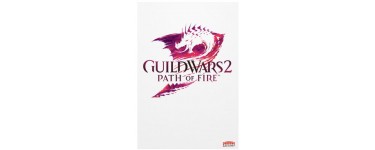 CDKeys: Jeu PC - Guild Wars 2 Path of Fire, à 22,79€ au lieu de 34,19€