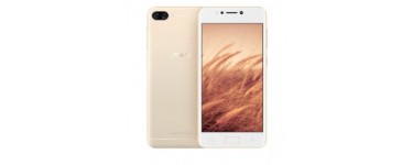 Asus: Smartphone - ASUS ZenFone 4 Max ZC520KL-4G009WW Doré, à 139,99€ au lieu de 169,99€ [via ODR] 