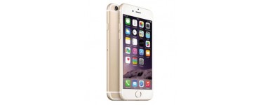 Pixmania: Smartphone - APPLE iPhone 6 64 Go Or, à 266€ au lieu de 305€