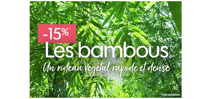 Truffaut: 15% de remise sur les bambous
