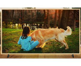 Darty: 200€ remboursés sur ce téléviseur LED SAMSUNG UE43LS003A THE FRAME 4K UHD