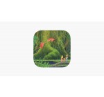App Store: Jeu iOS - Secret of Mana, à 3,45€ au lieu de 7,78€
