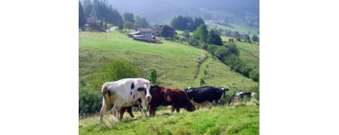 Massif des Vosges: A gagner un séjour extraordinaire dans les Vosges