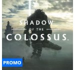 Playstation Store: Jeu PS4  Shadow of The Colossus, à 19,99€ au lieu de 39,99€