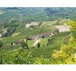 Intermarché: Un weekend dans les vignes, en Italie à gagner