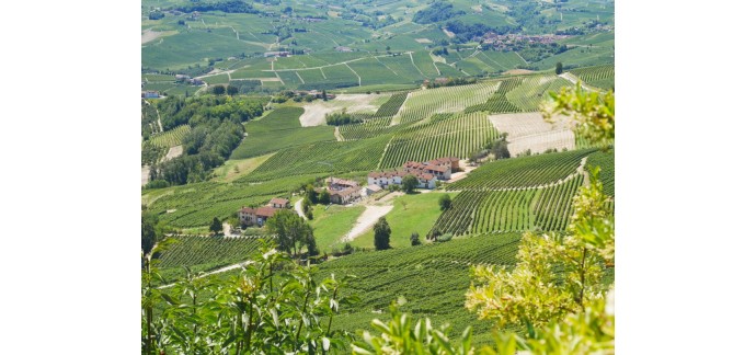 Intermarché: Un weekend dans les vignes, en Italie à gagner