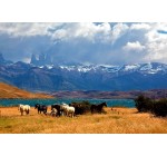 Intermarché: 1 voyage pour 2 personnes en Patagonie argentine à gagner