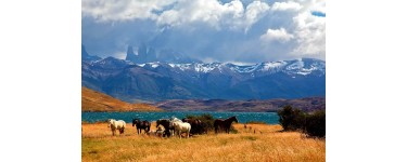 Intermarché: 1 voyage pour 2 personnes en Patagonie argentine à gagner