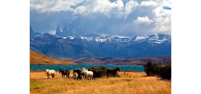 Intermarché: 1 voyage pour 2 personnes en Patagonie argentine à gagner