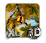 Google Play Store: Appli. Perso. Android - Autumn Leaves in HD Gyro 3D XL Parallax Wallpaper, Gratuit au lieu de 4,04€