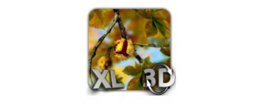 Google Play Store: Appli. Perso. Android - Autumn Leaves in HD Gyro 3D XL Parallax Wallpaper, Gratuit au lieu de 4,04€