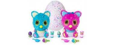 ToysRUs: 20€ offerts en bon d'achat pour l'achat d'un Hatchimals - HatchiBabies pour adhérents Carte R Us