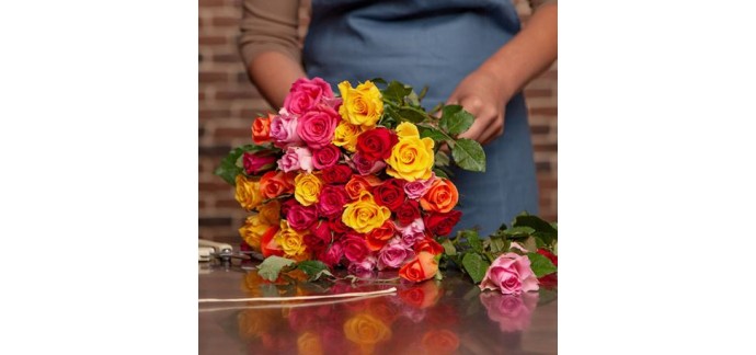 Aquarelle: Livraison du bouquet de roses Arlequin offerte 
