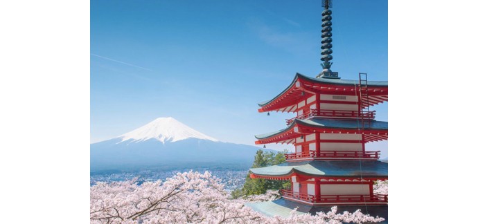 Petit Bateau: 1 aller-retour pour 2 personnes pour Tokyo et 2 places pour le musée du Studio Ghibli à gagner