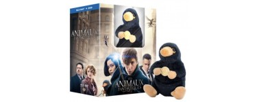 Amazon: Coffret Blu-ray Edition Collector Les Animaux fantastiques + peluche Niffleur à 14,98€