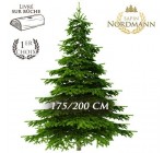 Florajet: Frais de livraison offerts sur votre sapin Nordmann 175-200cm