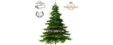 Florajet: Frais de livraison offerts sur votre sapin Nordmann 175-200cm