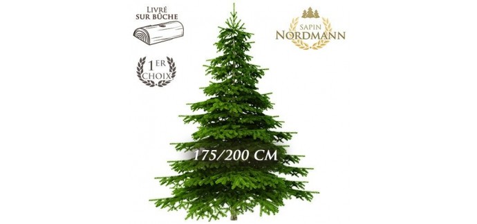Florajet: Frais de livraison offerts sur votre sapin Nordmann 175-200cm