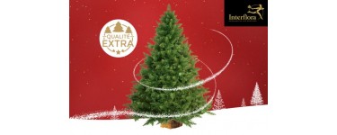 Citizenkid: Un sapin Nordmann à gagner