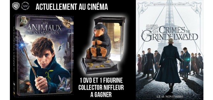 Ciné Média: Un DVD + une figurine Collector Niffleur du film "Les Animaux Fantastiques" à gagner