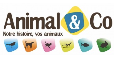 Animal&Co: Payez en 3 ou 4 fois sans frais par carte bleue