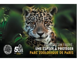 Familiscope: Tentez de gagner 15 entrées au Parc zoologique de Paris