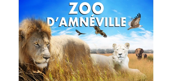 Groupon: Entrée adulte au Zoo d'Amnéville à 29.90€ au lieu de 37€, entrée enfant à 24.90€ au lieu de 31€