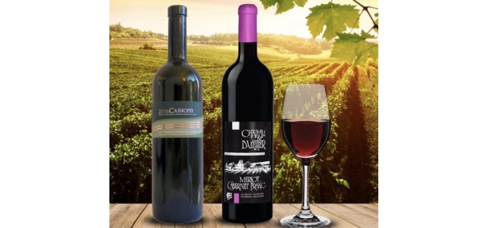 Relais du Vin & Co:  3 coffrets de 2 bouteilles des crus présentés en Sélection du Moment