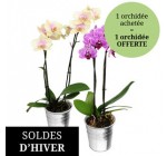 Florajet: 1 orchidée achetée = 1 orchidée offerte