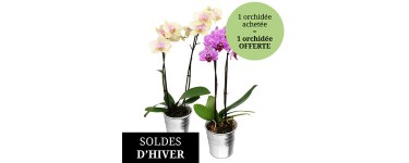 Florajet: 1 orchidée achetée = 1 orchidée offerte
