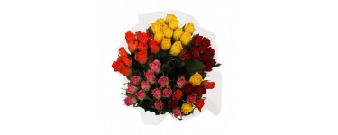 Aldi: Bouquet de 11 roses, coloris assortis à 2,99€