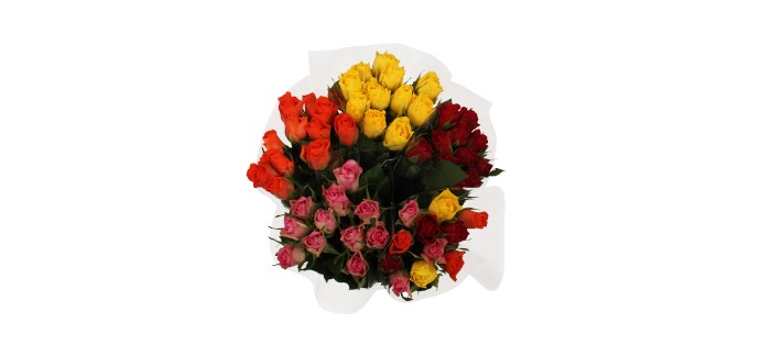 Aldi: Bouquet de 11 roses, coloris assortis à 2,99€