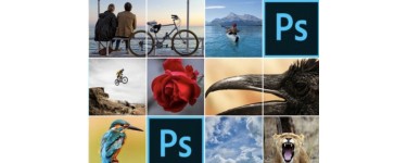 Udemy: Cours et tutoriels gratuits pour apprendre à utiliser Photoshop
