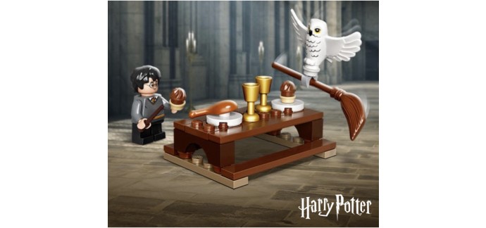 LEGO: [En magasin] L'ensemble LEGO Harry Potter™ et Hedwige offert dès 40€ d'achat