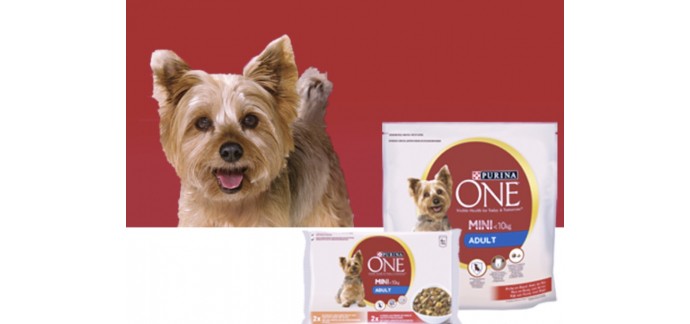Conso Animo: 13200 échantillons gratuits de croquettes pour chiens Purina One Mini