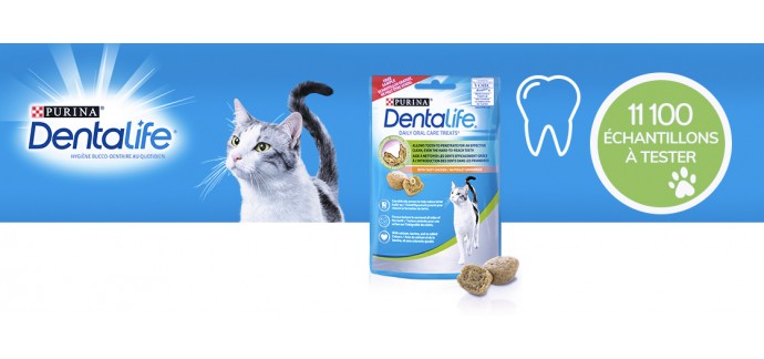 Conso Animo: 11100 x 2 échantillons de friandises bucco-dentaire Dentalife pour chat à gagner