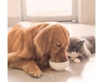Josera: 2 échantillons gratuits de nourriture pour chat ou chien et un bon cadeau de 5€