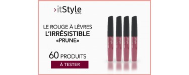 Mon Vanity Idéal: 60 rouges à lèvres Irrésistible Prune à tester