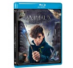 Amazon: Blu-Ray Les Animaux fantastiques - Le monde des Sorciers à 6,70€