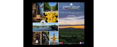 Terre de Vins: Séjours d’exception et vins de Loire à gagner