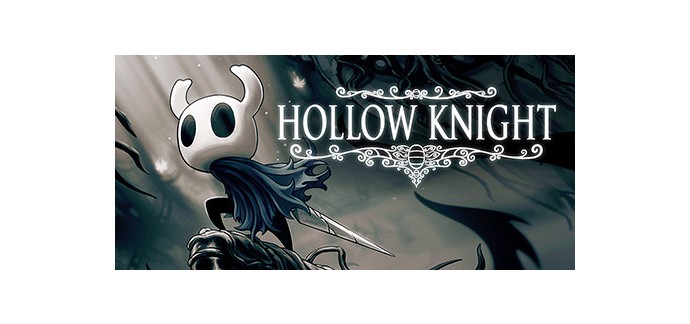 Steam: Jeu Hollow Knight sur pc (dématérialisé) à 5,99€