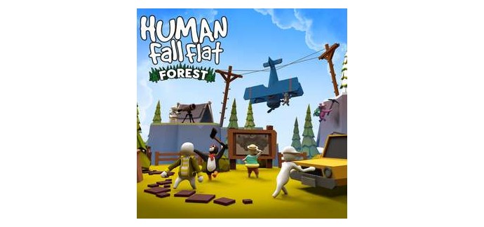 Playstation Store: Jeu Human: Fall Flat sur PS4 & PS5 (Dématérialisé) à 6,79€