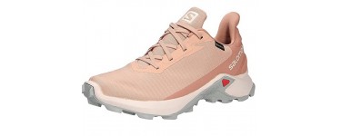 Amazon: Chaussures Imperméables Trail SALOMON Alphacross 3 GTX W pour femme à 51,38€